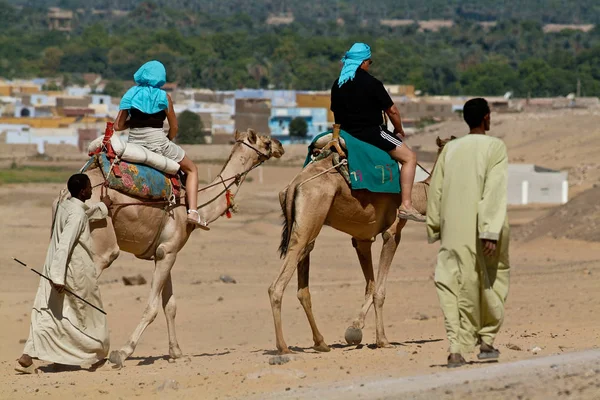 Ägypten - Touristen angeführt von Kameltreibern. — Stockfoto