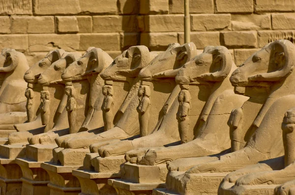 Esfinges de cabeza de carnero-Egipto Templo de Karnak — Foto de Stock