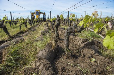 R arasında bir bağ içinde çiftçilik tarım makine traktör
