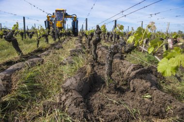R arasında bir bağ içinde çiftçilik tarım makine traktör