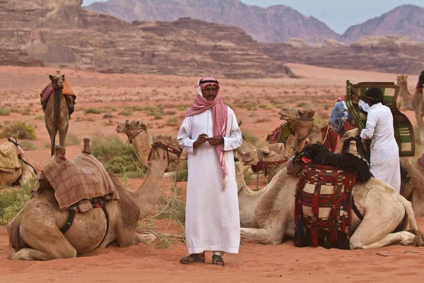 Develer, wadi rum, jordan