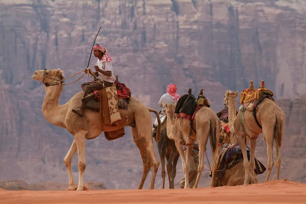 Camelos em Wadi Rum, Jordânia — Fotografia de Stock