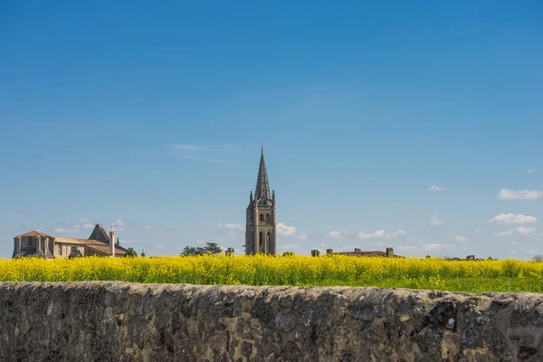 Viñedo en primavera, flores colza, y pueblo de santo emilion —  Fotos de Stock