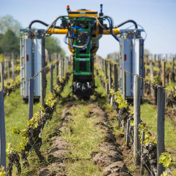 Agricultural machine tractor plowing in a vineyard between the r — Stock Photo, Image