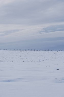 Üzüm bağları kar kaplı