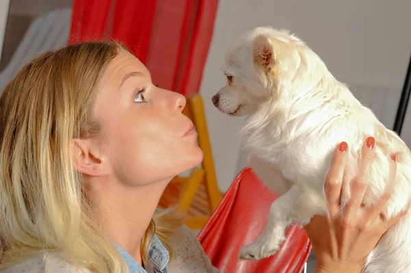 Молодая женщина с собакой дома — стоковое фото