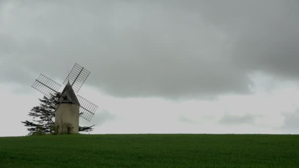 Timelapse, moulin dans un champ de luzerne, Lot et Garonne, 47, France — Video
