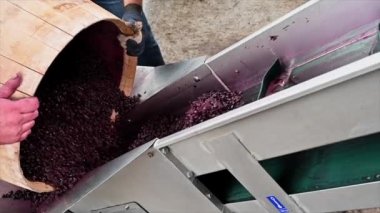 Fıçıda fermantasyon sırasında şarap karıştırma