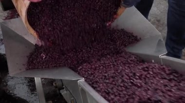 Fıçıda fermantasyon sırasında şarap karıştırma