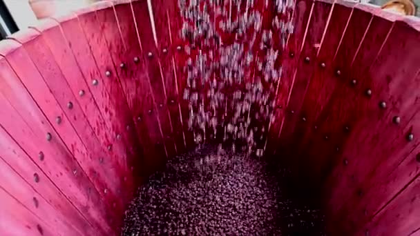 Mistura de vinho durante o processo de fermentação em barril — Vídeo de Stock