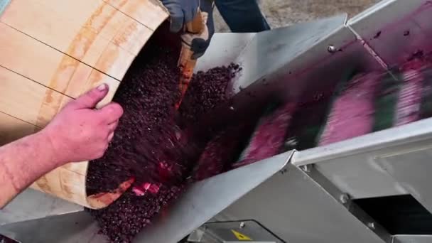 Mistura de vinho durante o processo de fermentação em barril — Vídeo de Stock