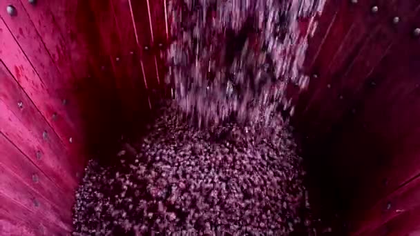 Miscelazione del vino durante la fermentazione in botte — Video Stock