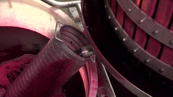 Mengsel van wijn tijdens het gistingsproces in vat — Stockvideo
