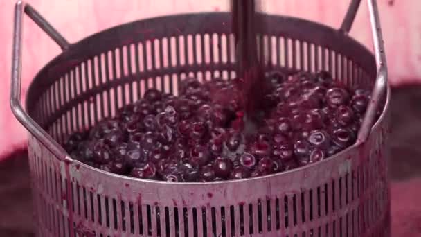 Mieszanie wina podczas procesu fermentacji w beczce — Wideo stockowe