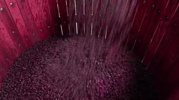 Смешивание вина во время процесса брожения в бочке — стоковое видео