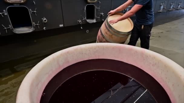 Tonneau de rouleau ouvrier dans la cave de la vigne — Video