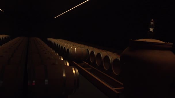 Панорамный вид на подвал с бочками и эмфорами — стоковое видео