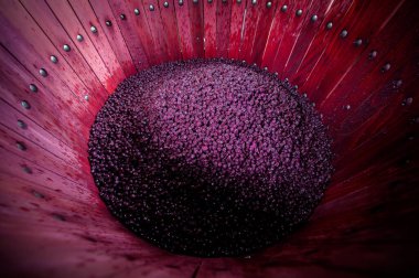 Bordeaux Vineyard fıçısında fermantasyon sırasında şarap karıştırma