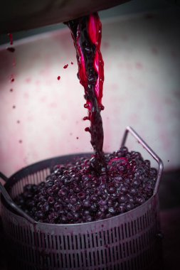 Bordeaux Vineyard fıçısında fermantasyon sırasında şarap karıştırma