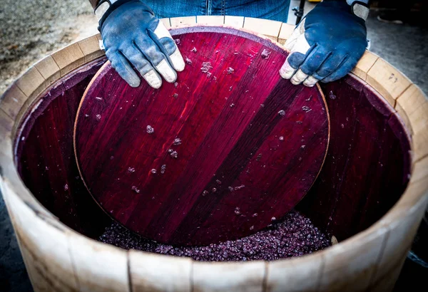Mistura de vinho durante o processo de fermentação em barril, Bordeaux Vineyard — Fotografia de Stock