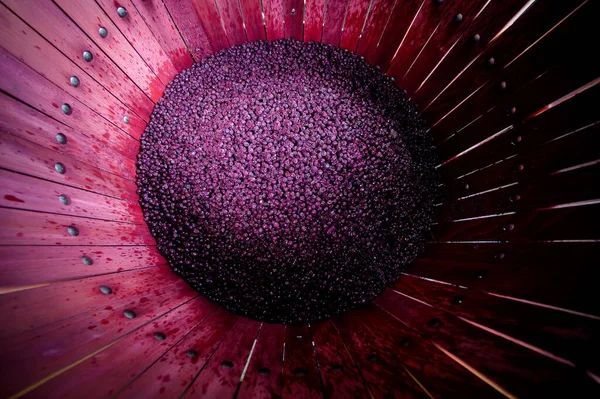 Mistura de vinho durante o processo de fermentação em barril, Bordeaux Vineyard — Fotografia de Stock