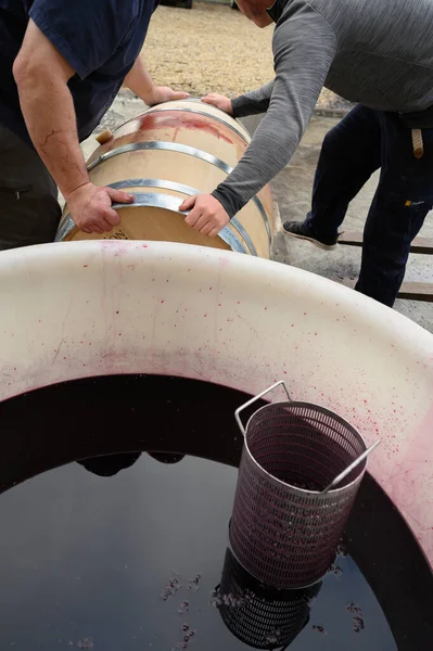 Mistura de vinho durante o processo de fermentação em barril, Bordeaux Vineyard — Fotografia de Stock