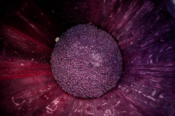 Míchání vína během kvašení v sudu, Bordeaux Vineyard — Stock fotografie