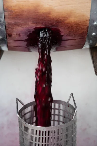 Змішування вина під час бродіння в бочці (Bordeaux Vineyard). — стокове фото