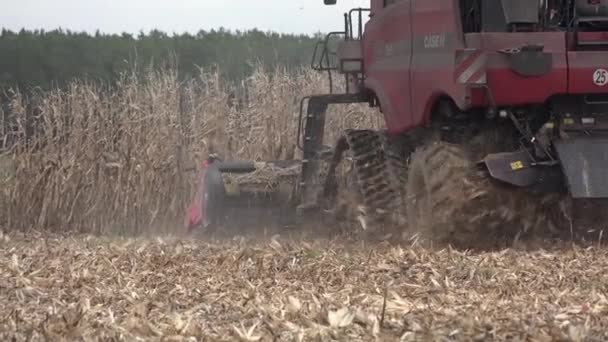 Франция, Жиронда, 19 декабря 2019 г.: Комбинированный сбор урожая на поле золотой пшеницы — стоковое видео