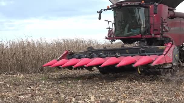 Frankreich, Gironde, 19. Dezember 2019: Mähdrescher-Ernte auf einem Feld aus goldenem Weizen — Stockvideo