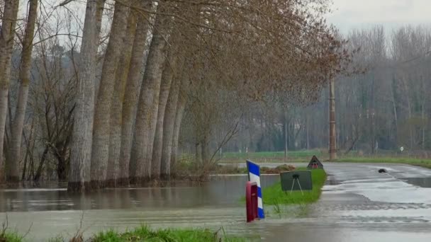 도로 위로 흐르는 물, 강물 이 범람하는 도로 및 위험 한 도로 표지판으로 범람하는 도로 — 비디오