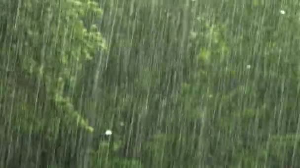 Climate change, close up shoot of rain during a severe thunderstorm — Stock Video