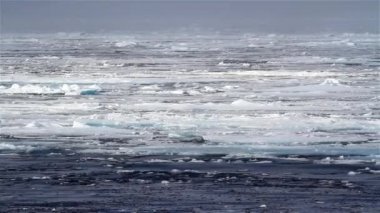 Kuzey Kutbu, Kuzey Kutbu, Svalbard