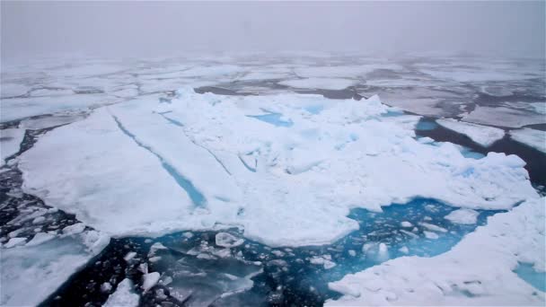 Mare Artico Grandi Pezzi Ghiaccio Polo Nord Svalbard — Video Stock