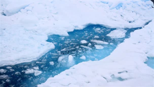 Mer Arctique Gros Morceaux Glace Pôle Nord Svalbard — Video