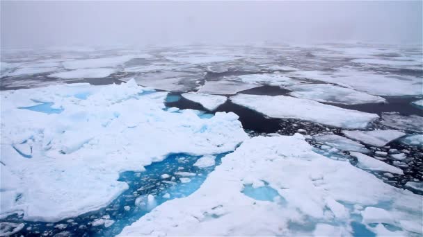 Arctic Sea Large Chunks Ice North Pole Svalbard — Stock Video