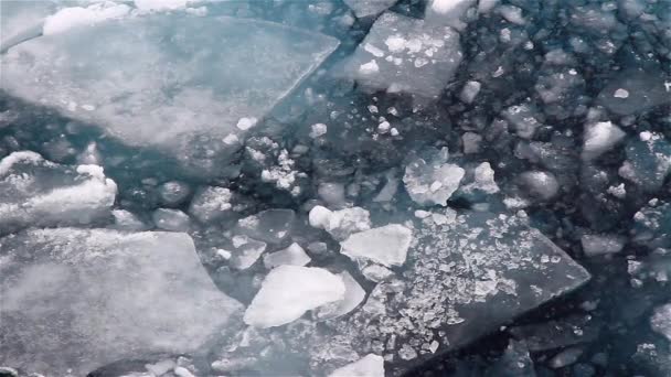 Jeges Tenger Nagy Darabjai Jég Északi Sark Svalbard — Stock videók