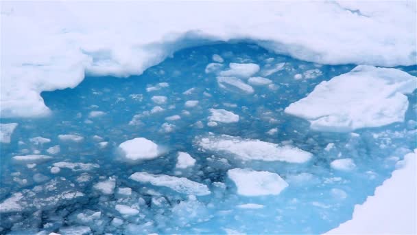 Arctische Zee Grote Brokken Ijs Noordpool Spitsbergen — Stockvideo