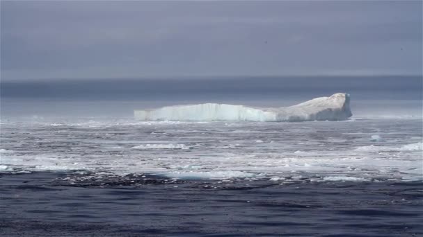Duża Góra Lodowa Pływająca Lodzie Morskim Biegun Północny — Wideo stockowe