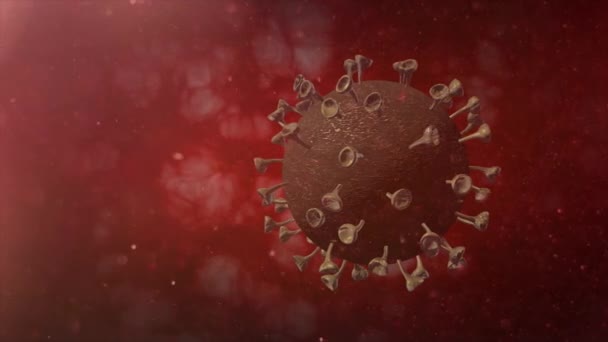 Virus Corona All Interno Del Corpo Umano Sistema Coronavirus Conceptcorona — Video Stock