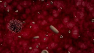 Corona covid-19 Virüs Saldırıları ve insan hücresi 3D görüntüleme. Virüs veya diğer tehlikeli virüsler sağlıklı hücreleri yok ediyor..