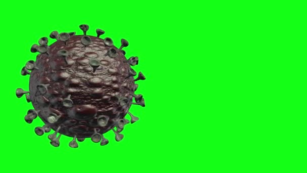 Коронавирус Cell Вращается Режиме Loop Зеленым Фоном Рендеринга Коронавируса Covid — стоковое видео
