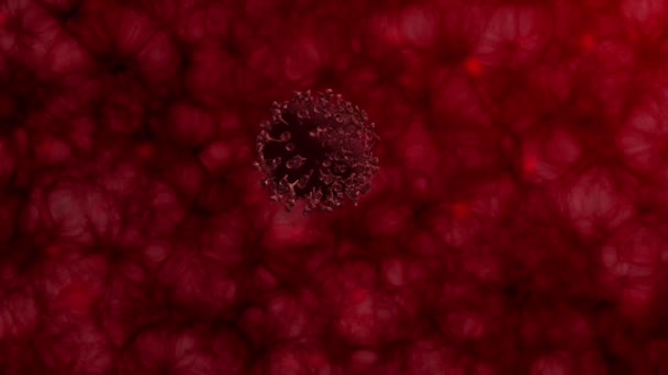 コロナCovid 19ウイルス人体への攻撃と拡散3Dレンダリングウイルスやその他の危険なウイルス健康な細胞を破壊する — ストック動画