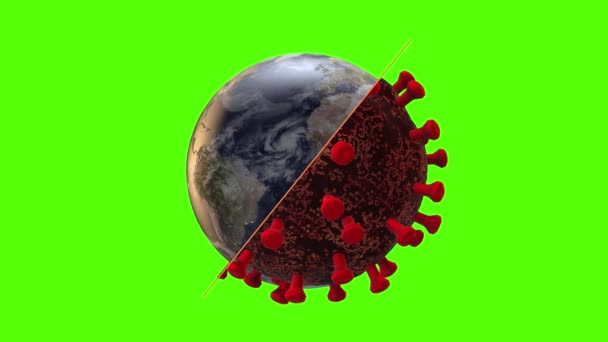 Erde Und Coronavirus Rotierende Nahtlose Schleife Auf Grünem Hintergrund Coronavirus — Stockvideo