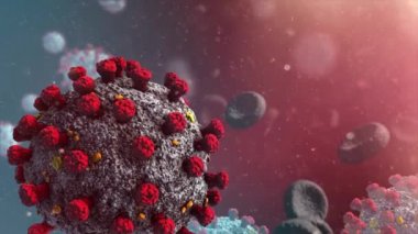 Ölü insan hücreli Coronavirus (covid-19) Corona virüsü tıbbi animasyonu. Virüs modeli gerçekçi.