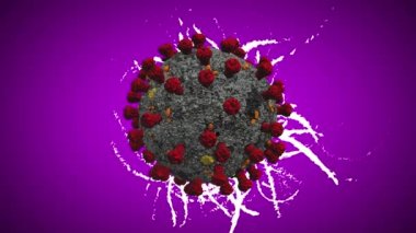 Coronavirus (covid-19) yayılım enfeksiyonu kavramı. Beyaz Soyut grunge enfeksiyonunun Mor arka planda Corona virüsünün arkasına yayılması.