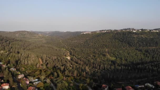 Jerusalem Pine Forest Drone View Israel — Stock Video