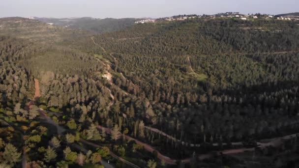 耶路撒冷松树森林无人驾驶飞机视图 — 图库视频影像