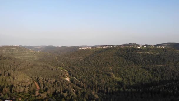 耶路撒冷松树森林无人驾驶飞机视图 — 图库视频影像