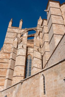 Palma de Mallorca Gotik Katedrali manzarası
